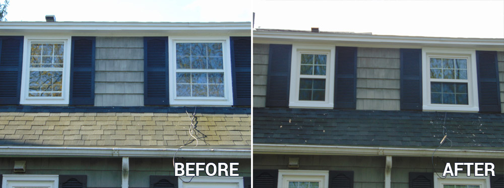Before and After New Windows